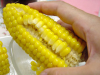 20060818-corn3.jpg